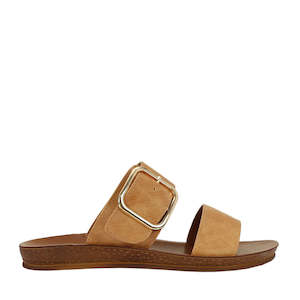 Los Cabos: Los Cabos Doti