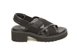 Oli: Oli OLS24  Offa