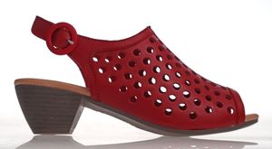 Alfie Evie: Alfie & Evie Odessey