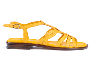 Products: Pons Quintana TINA Papaya