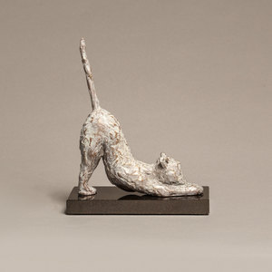 Products: Downward cat (lily)