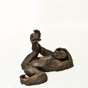 Products: Foot Study