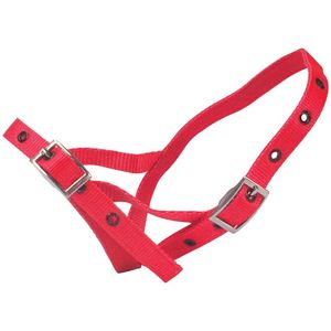 Shoof Farm: Halter Nylon Calf Tethering Red