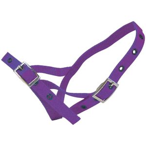 Shoof Farm: Halter Nylon Calf Tethering Purple