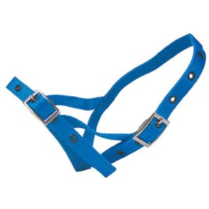 Shoof Farm: Halter Nylon Calf Tethering Blue