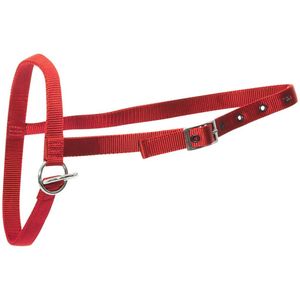 Shoof Farm: Halter Nylon Calf Leading Red