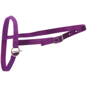 Shoof Farm: Halter Nylon Calf Leading Purple