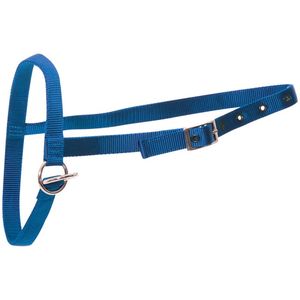 Shoof Farm: Halter Nylon Calf Leading Blue
