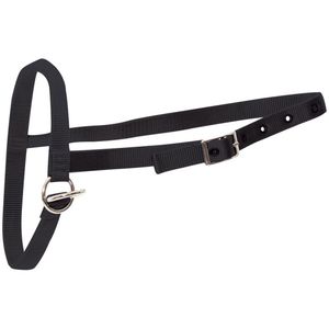 Shoof Farm: Halter Nylon Calf Leading Black