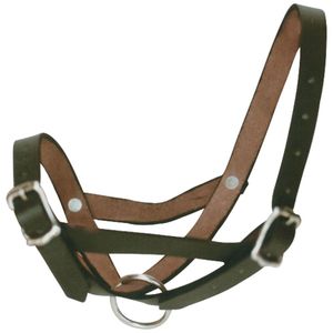 Lapco: Halter Leather Calf Tethering Black