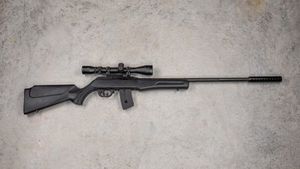 22wmr Rossi Semi Auto