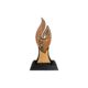 Medium Award Flame (WS)