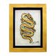 Large Framed Eel (WS)
