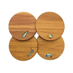 Mixed Paua Rimu Coaster Set (WS)