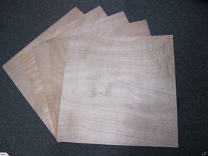 Aeon: 2MM PLYWOOD SHEETS 600x600 - cheap! 3Ply (5 sheets) - NZ Only