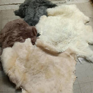 M7 - Below Grade Pelts - Bowron Sheepskin Tannery & Factory