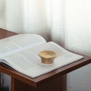 Luna Paper Weight in Brass