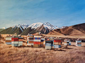 Beehives at Craigeburn