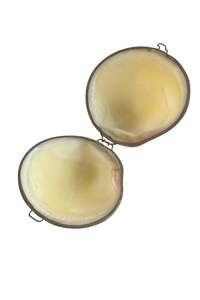 Other Items: Vintage mother of pearl clam natural seashell trinket box