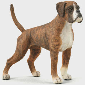 Collectables: Collect A - Boxer