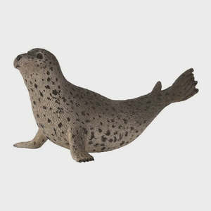 Collect A - Spotted Seal