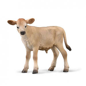 Collectables: Collect A - Calf Jersey