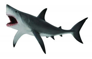 Collectables: Collect A - Great White Shark