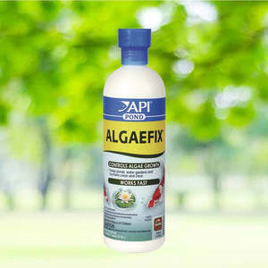 Home Living: zwf API Pond -  Algaefix 473ml