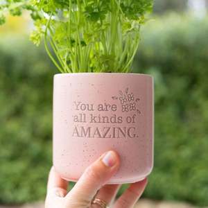 Positive Pots - You are Amazing