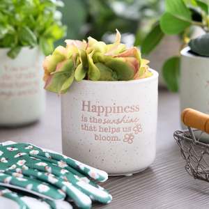 Positive Pots - Happiness is Sunshine