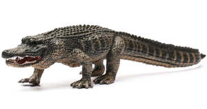Collect A - American Alligator