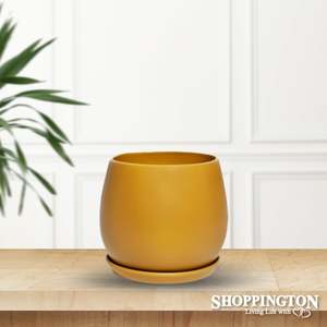 Planter Pots: Pot Planter - Sunset Egg with Saucer