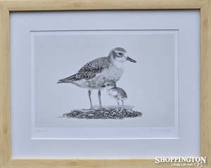 Nz Made Art Gallery: Tara Cassidy - Framed Print - Ku Kuruatu