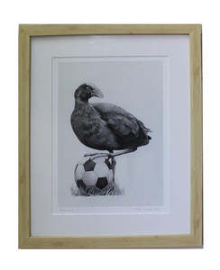 Tara Cassidy - Framed Print - Pukeko Kick
