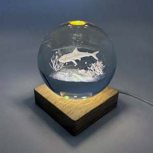 Lamps Lighting: Light - Shark Crystal Ball