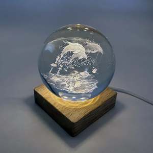 Light - Dolphin Crystal Ball