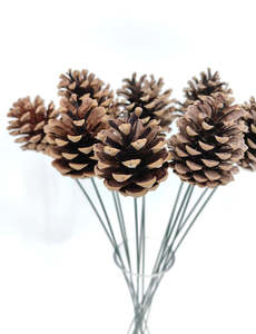 Christmas: Pinecone Stick