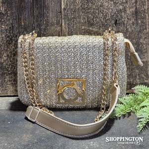 Handbags Wallets: Handbag Clutch / Gold