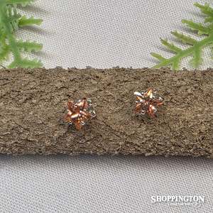 Sale: Earrings - Champange Star Studs