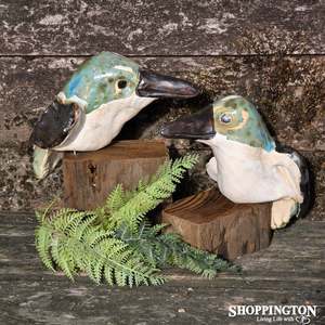 100% NZ Made Pottery Kingfisher