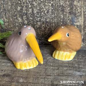 Gifts For Him: Kitschy Kiwi Salt & Pepper Shakers
