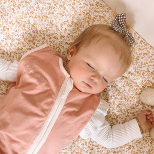 New: SmartSleeper Infant and Toddler Sleeping Bag