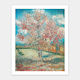 The Pink Peach Tree - 500 Piece Jigsaw Puzzle
