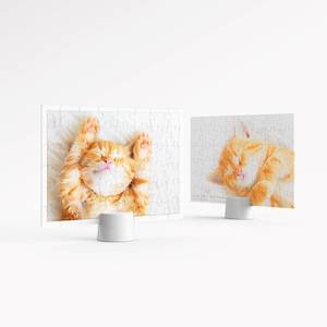 Showpiece 48 Piece Puzzles: Kitten's Napping Time - 48 Piece Jigsaw Puzzle