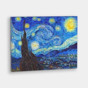 The Starry Night - 366 Piece Jigsaw Puzzle