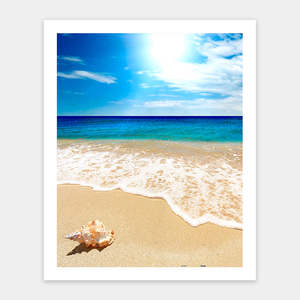 Showpiece 500 Piece Puzzle: Seashell on the Beach - 500 Piece Jigsaw Puzzle