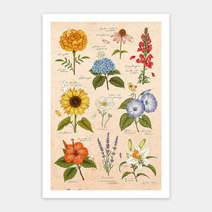 Summer Flowers - 600 Piece Jigsaw Puzzle