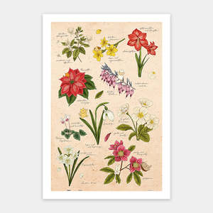 Showpiece 600 Piece Puzzle: Winter Flowers - 600 Piece Jigsaw Puzzle