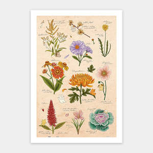 Showpiece 600 Piece Puzzle: Autumn Flowers - 600 Piece Jigsaw Puzzle