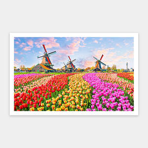 Showpiece 1000 Piece Puzzle: Zaanse Schans, Netherlands - 1000 Piece Jigsaw Puzzle